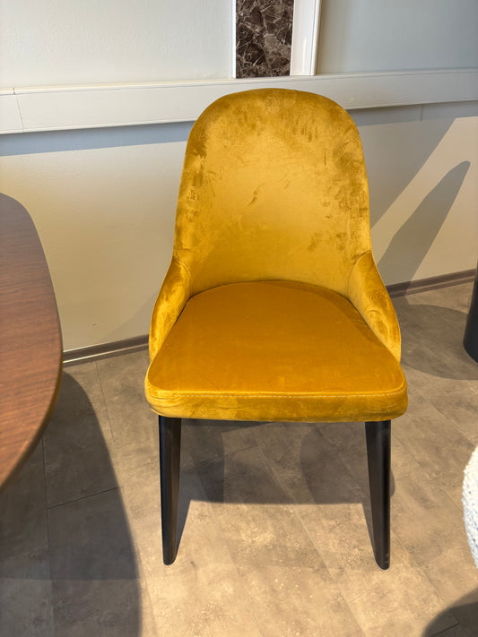 Ewos 6 St Stolar - 4 St Svart / 2 St Gul