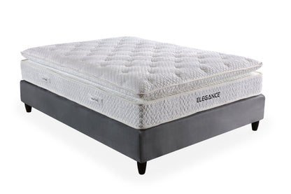 Elegance Plus Madrass