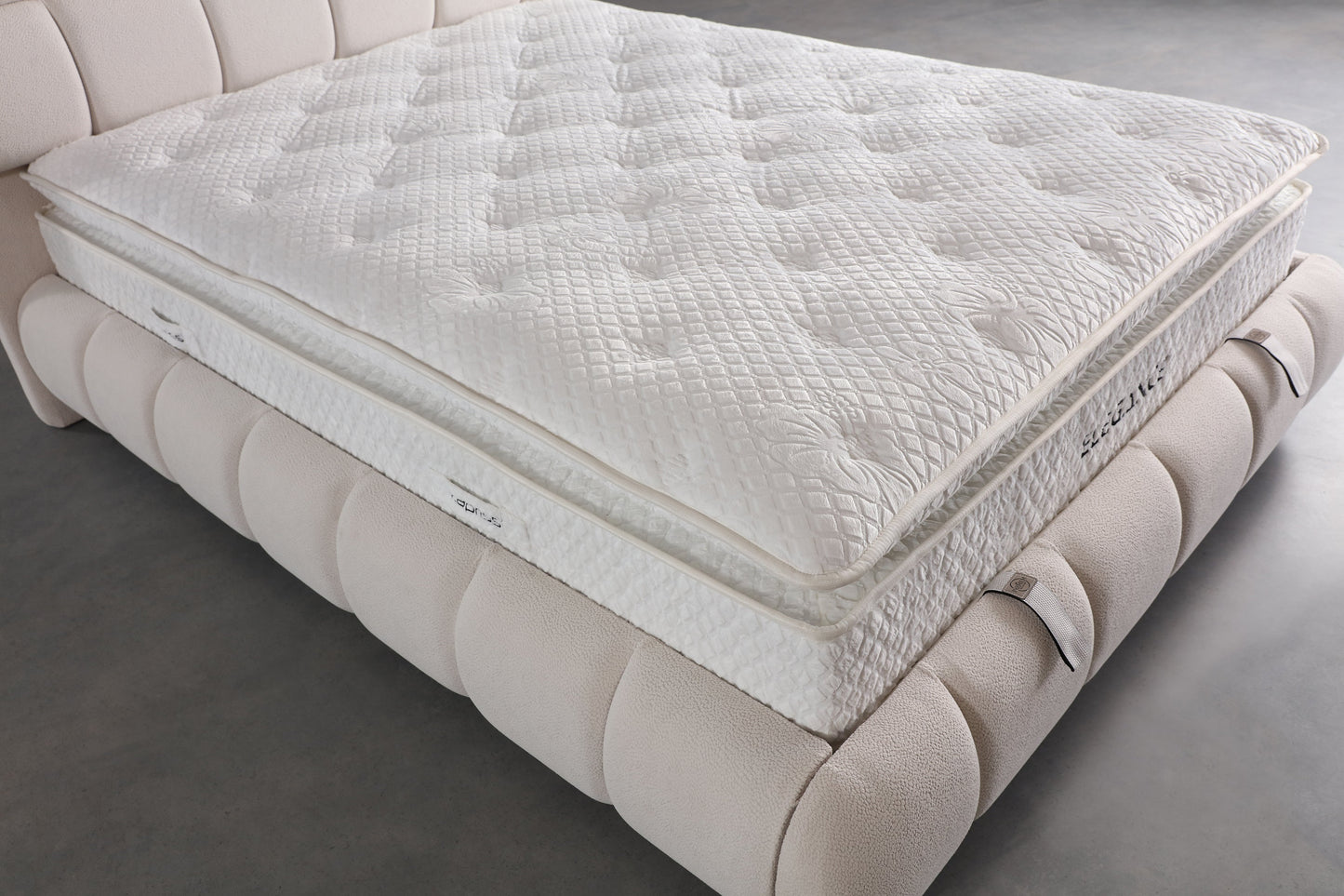 Elegance Plus Madrass