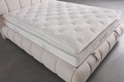 Elegance Plus Madrass