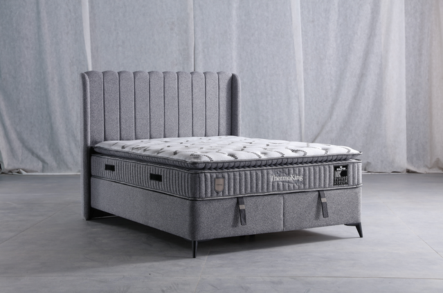 Thermoking Madrass