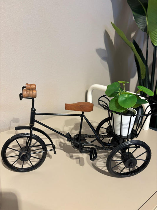 Dekoration0128 – Line Furniture
