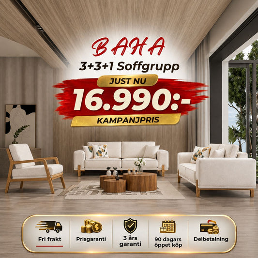 🎯 Baha 3+3+1 Soffgrupp